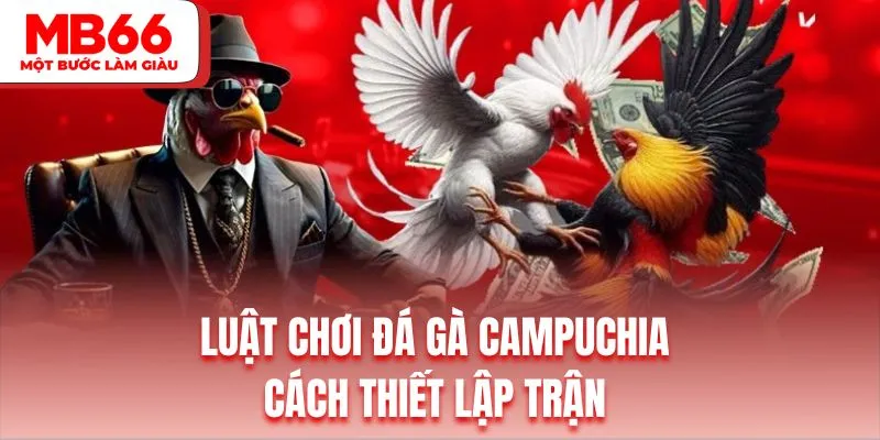 Tìm hiểu cách để thiết lập trận đấu gà Campuchia chi tiết